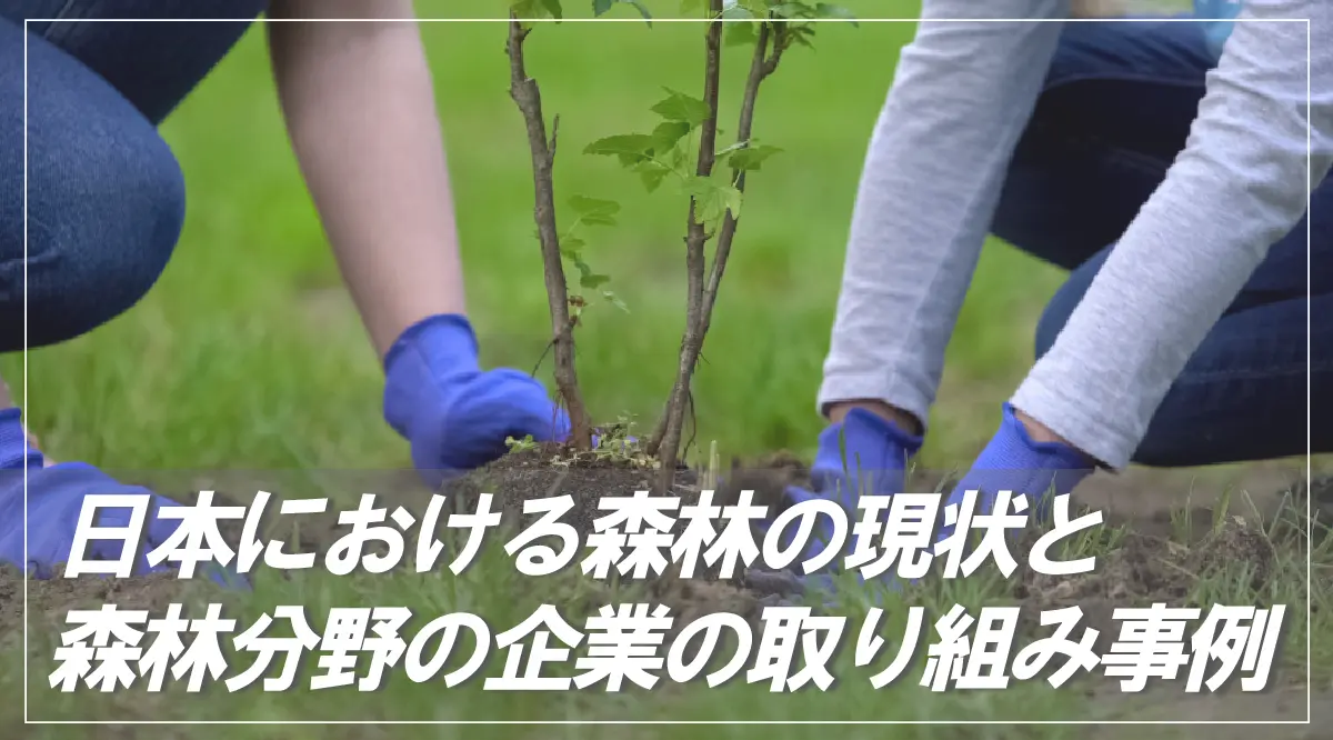 森林再生パートナー活動 ～人と地球の豊かな未来づくりのため〜