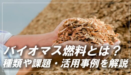 化石燃料に代わり注目される「バイオマス燃料」とは？種類や事例を紹介